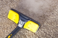 The Advantages of Professional Carpet Cleaning |Idaho Falls, ID