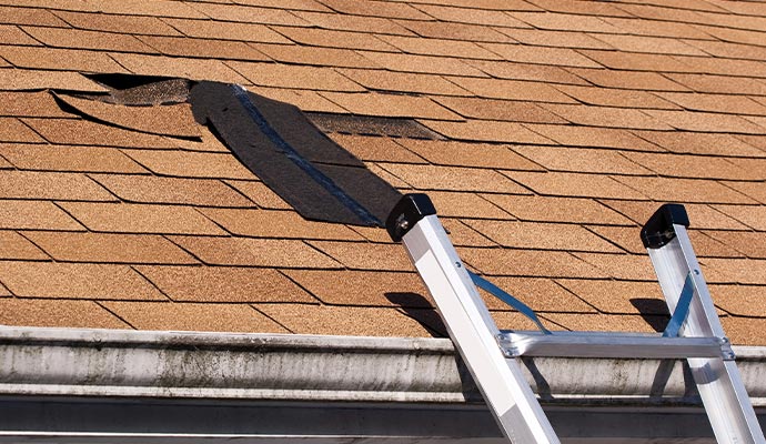 roof leak restoration in Idaho