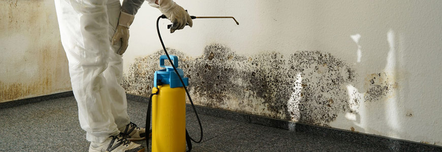 What to Do After Commercial Water Damage Restoration