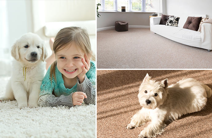 Carpet & Floor Cleaning in Southeast Idaho