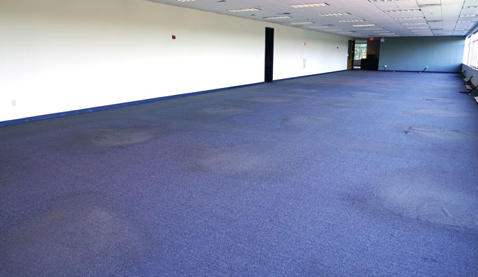 Carpet Restoration Services | All American Cleaning and Restoration