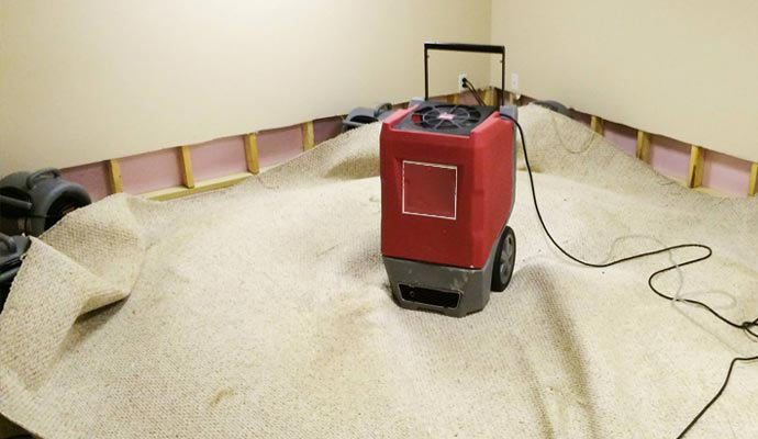 Carpet Water Damage Restoration