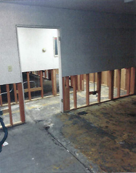 Mold remediation and removal at a mold cleanup
