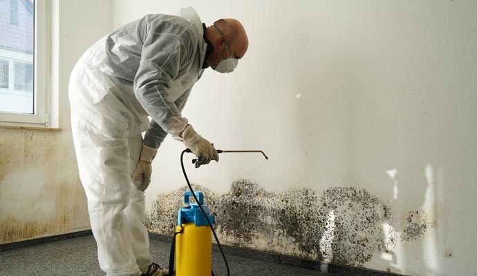 Mold Remediation and Mold Removal in Idaho, ID