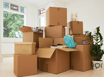 Pack Out & Storage Services