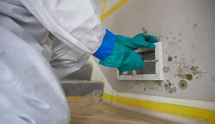 Professional hvac mold remediation service