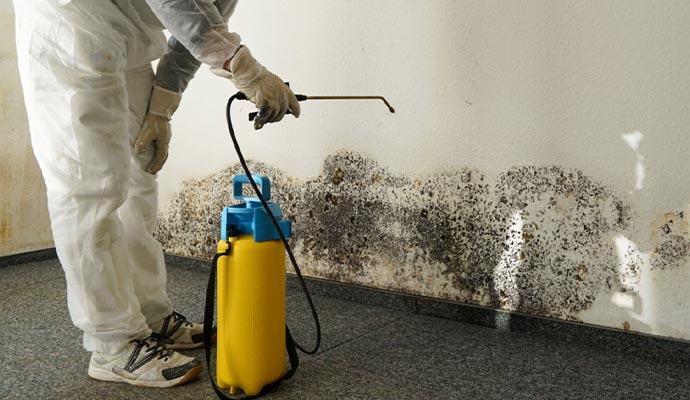 Professional worker cleaning mold with cutting edge technologies