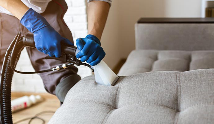professional cleaning services for upholstery, ensuring a thorough and meticulous process.