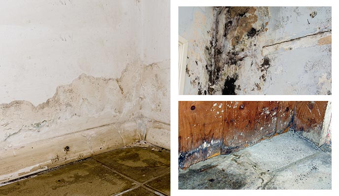 water damage, mold, and structural issues, highlighting the problems caused by water damage. 